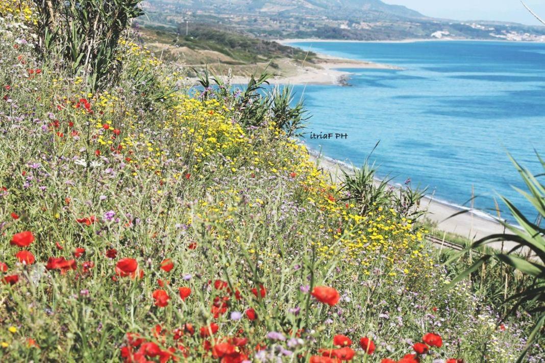 Climatizzato In Centro A 100M Dal Mare Villa Cirò Marina Buitenkant foto